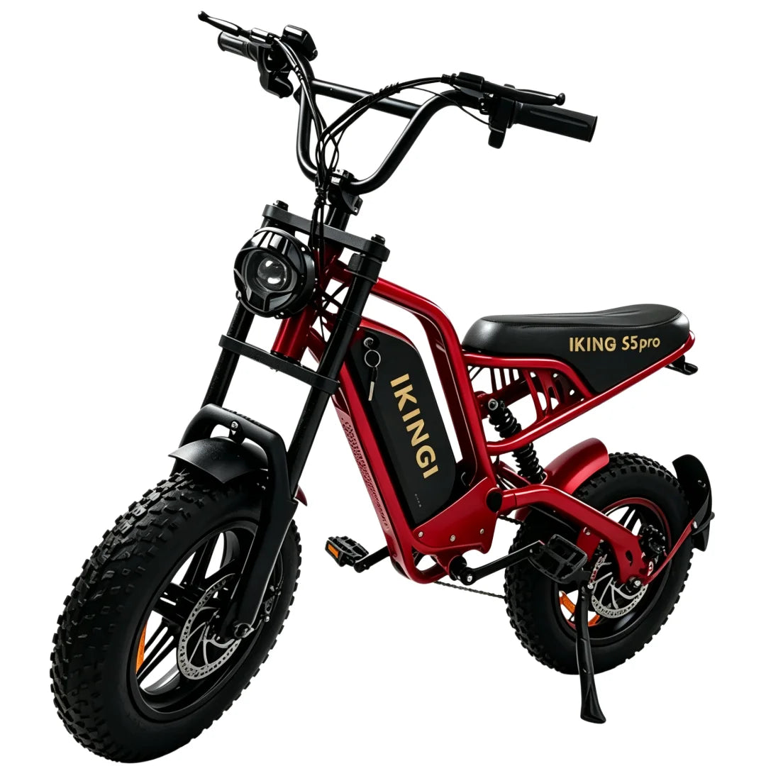 1000W Peak Electric Bike 48V15AH Battery Full Suspension 7 Speed 16*4 Inch Fat Tire All Terrain Off Road E-bike Motorcycle for Adults