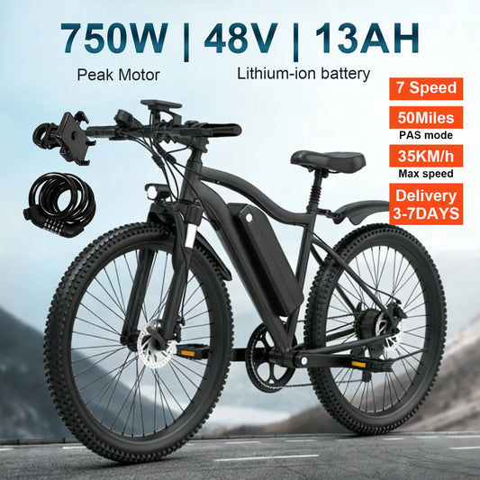 Toofly Mountain E Bike 48V 13Ah Removable Battery 500W Motor