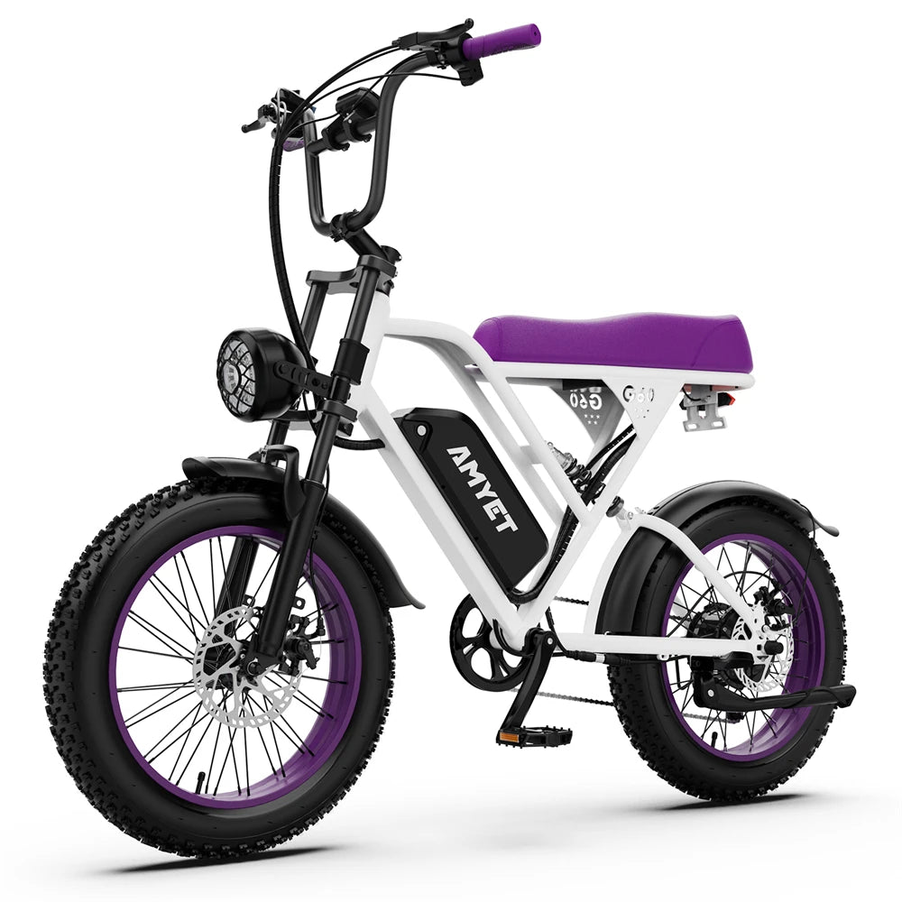 AMYET V9-G60 Adults Electric Bike 1000W Motor Bicycle 48V 20AH 20“ Tire Ebike Electric E Bikes Mountain Moped Ebikes For Men
