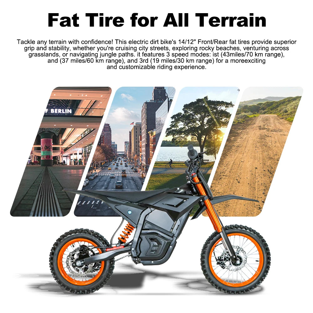 Electric Bicycle 3000W Motor 48V21AH Lithium Battery 60km/h Electric Bike 14" Fat Tire Snow E-bike electric dirt bike for Adults