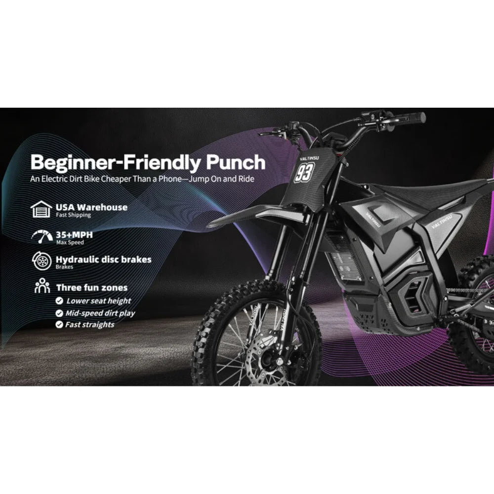 Valtinsu EM-5 2500W Peak Power 48V 20.8Ah Electric Bike